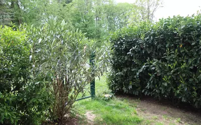 Émerainville (77184)