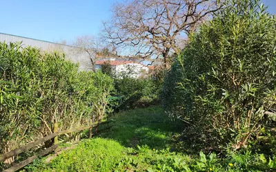 Saint-Jean-De-Luz (64500)