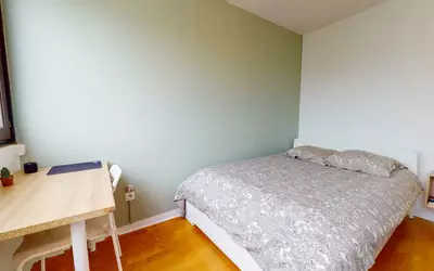 Saint-Étienne (42000)