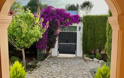 Javea/Xabia