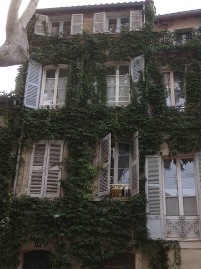 Location appartement studio Avignon (84)