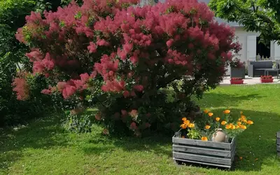 Loches (37600)
