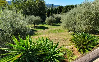 Cabris (06530)