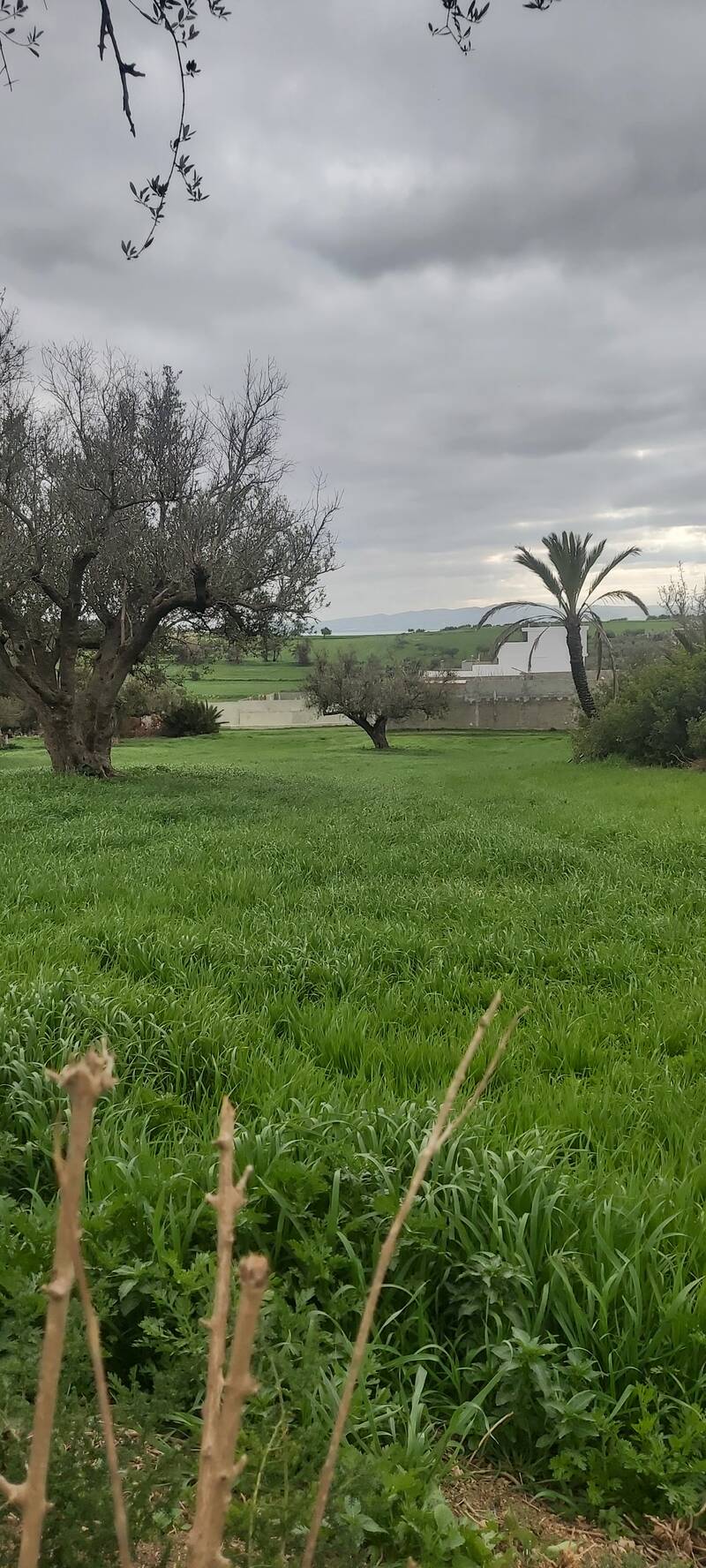 Tunisie