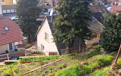 Guebwiller (68500)