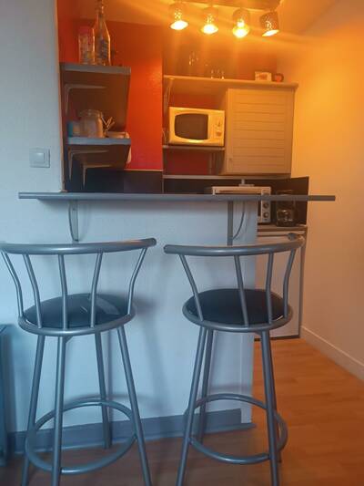 Vente appartement studio Loos (59120)