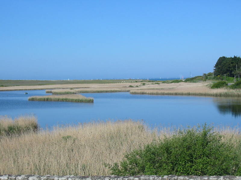 Saint-Gildas-De-Rhuys (56730)