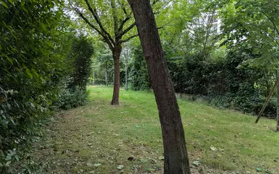 Puteaux (92800)
