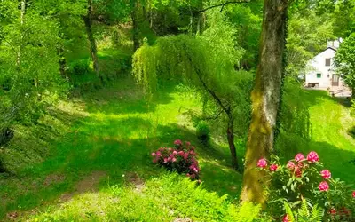 Coupiac (12550)