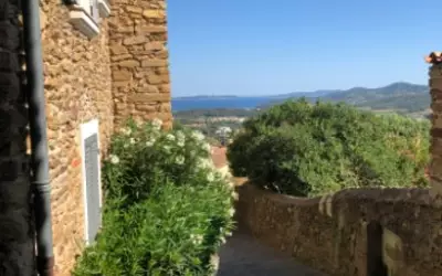 + Parcelle De 319 M²