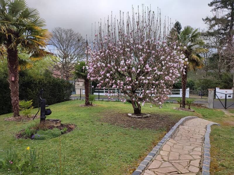 Saint-Fargeau-Ponthierry (77310)