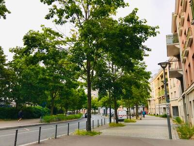 Location chambre en colocation 4 pièces Noisy-le-Grand (93160)