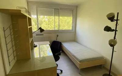 Cergy (95)
