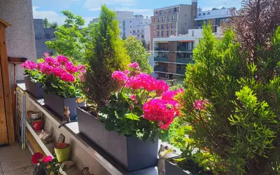 Boulogne-Billancourt (92100)