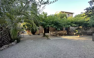 Opio (06650)