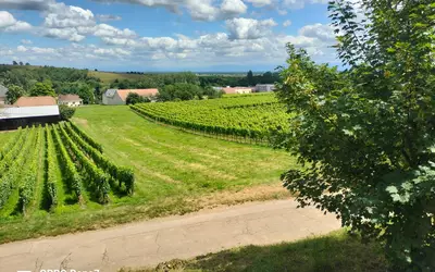 Bergholtzzell (68500)