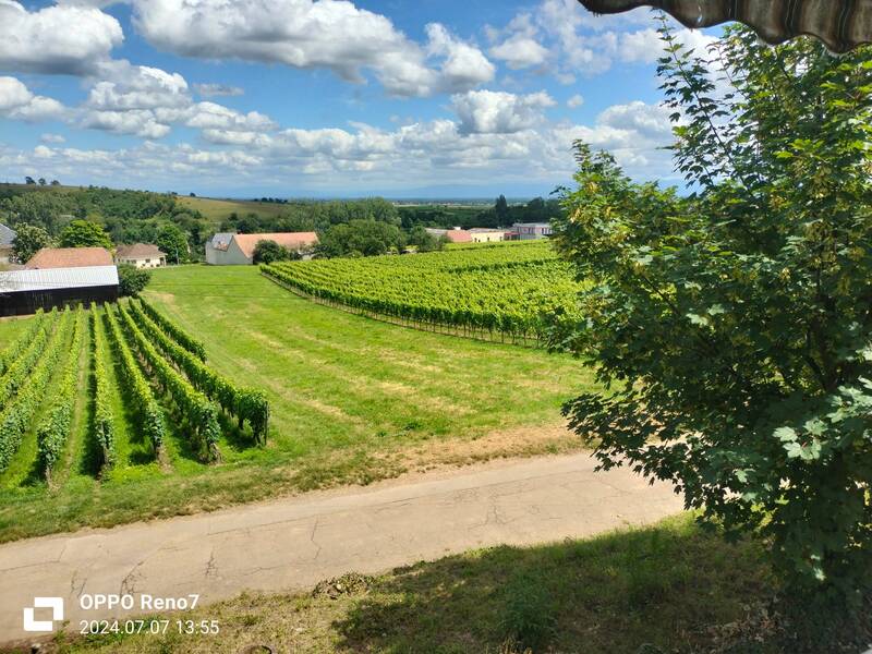 Bergholtzzell (68500)