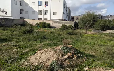 Tunisie