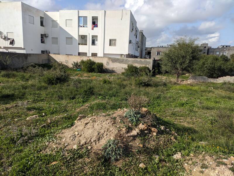Tunisie