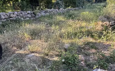 San-Gavino-Di-Carbini (20170)