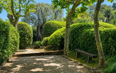 Antibes (06600)