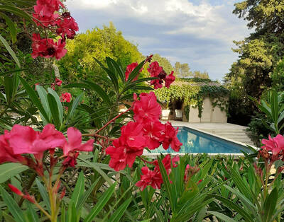 Vente maison 6 pièces Nîmes (30)
