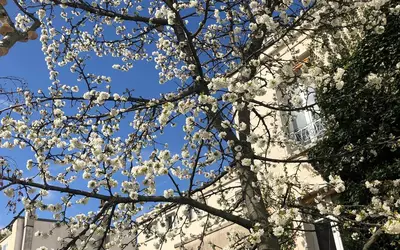 Paris 11E (75011)