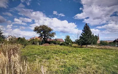 Kintzheim (67600)