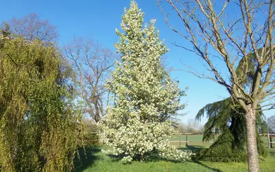 Beaufai (61270)