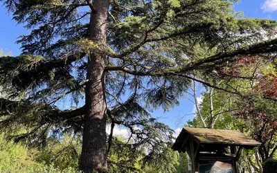 Gif-Sur-Yvette (91190)