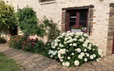 Chevry-Sous-Le-Bignon (45210)