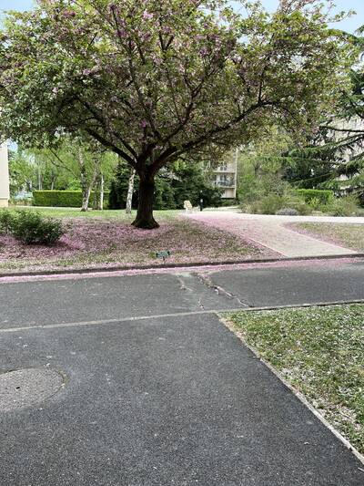 Location chambre en colocation 4 pièces Évry-Courcouronnes (91)