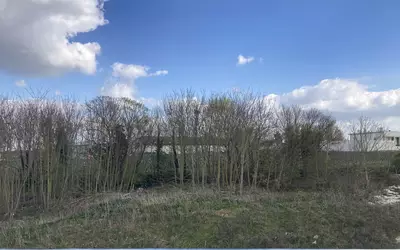 Bezannes (51430)