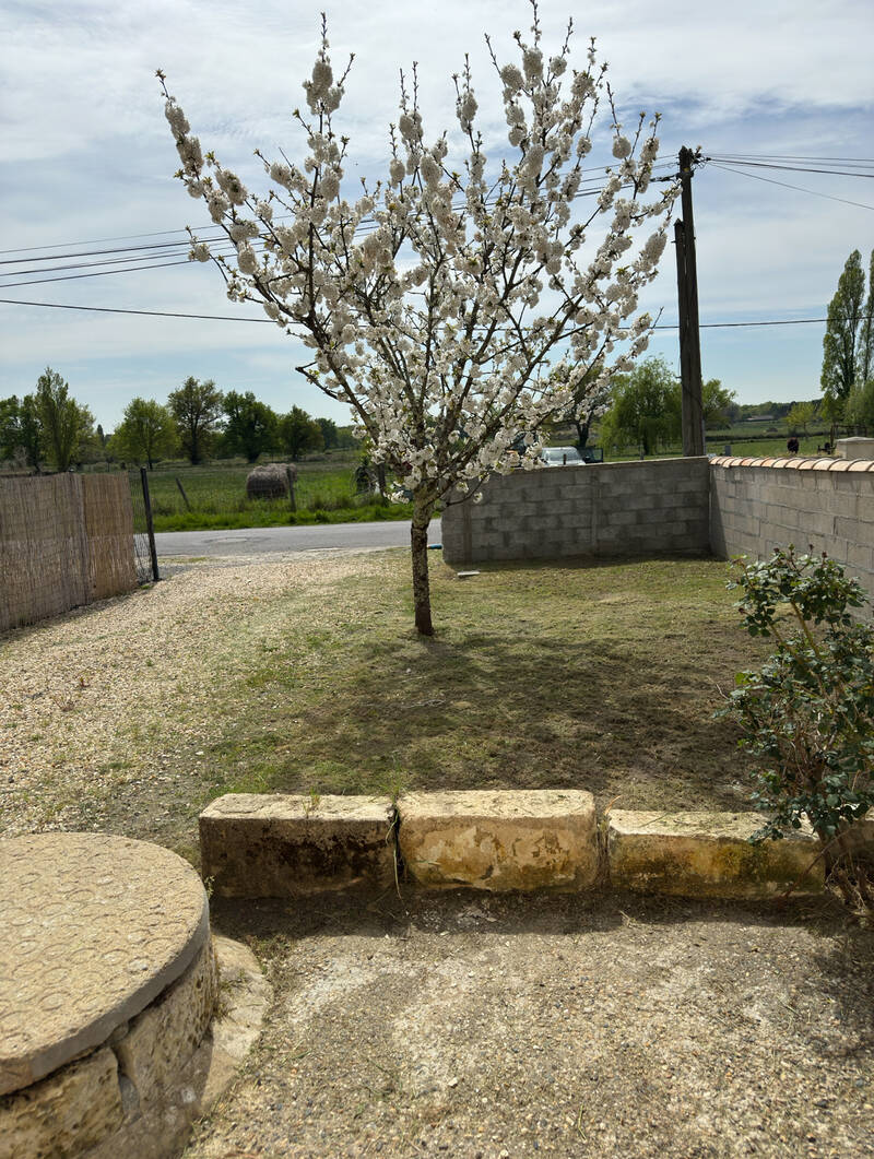 Saint-Savin (33920)