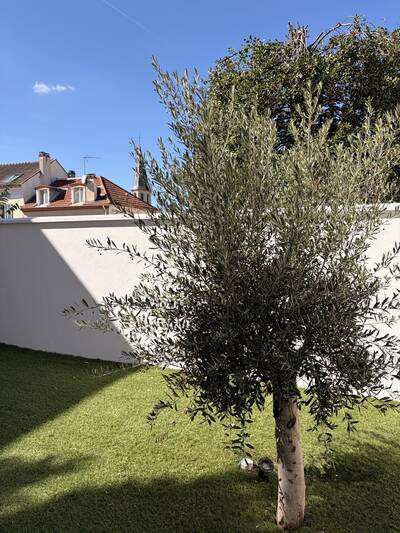 Location maison 4 pièces Rueil-Malmaison (92500)