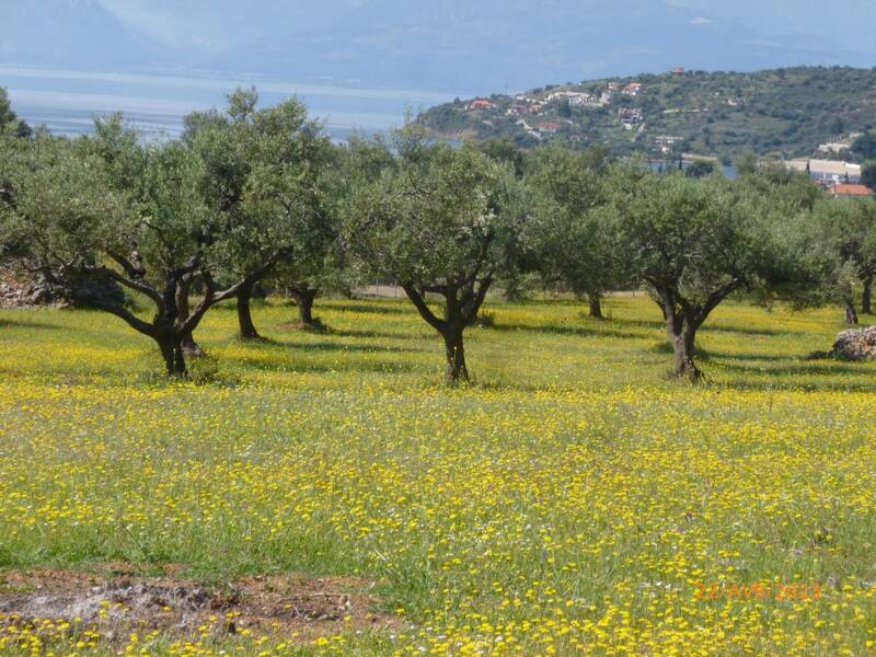 Grèce