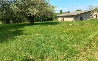 Nègrepelisse (82800)