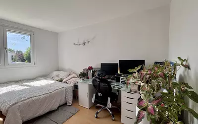 Le Mesnil-Saint-Denis (78320)
