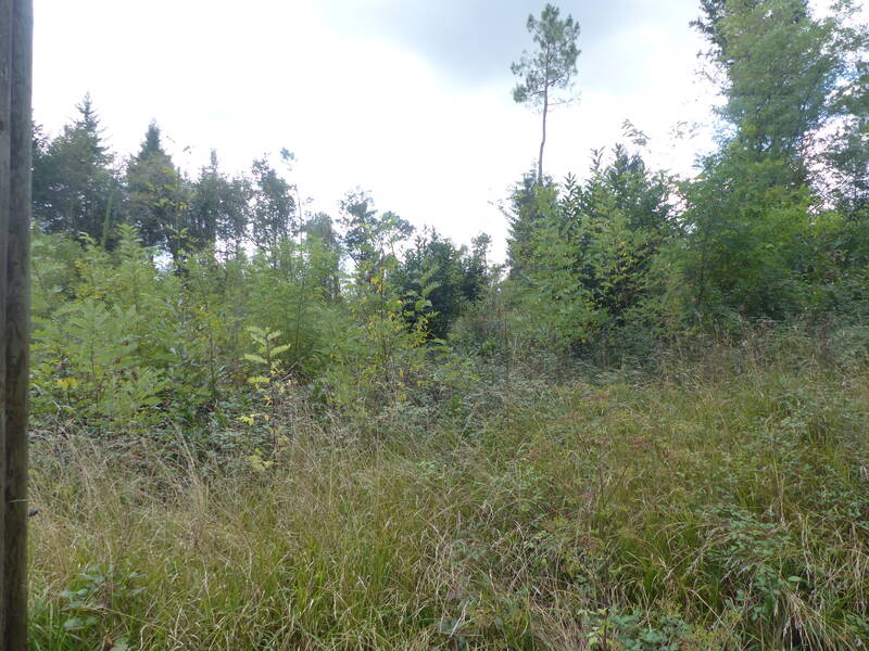 Villars (24530)