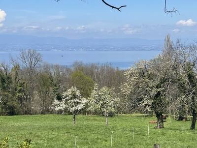 Location maison 6 pièces Maxilly-sur-Léman (74500)