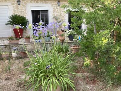 Vente maison 6 pièces Avignon (84)