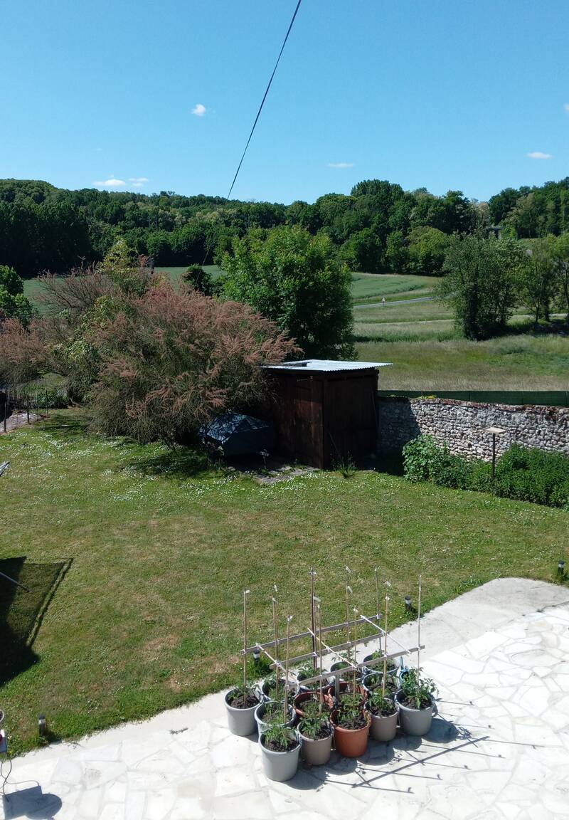 Saint-Loup-De-Naud (77650)