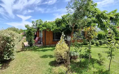 Gujan-Mestras (33470)