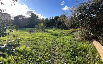 Fréjus (83600)