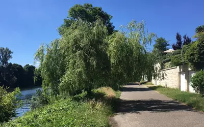 Croissy-Sur-Seine (78290)