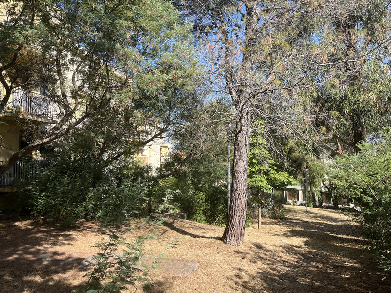 Toulon (83000)
