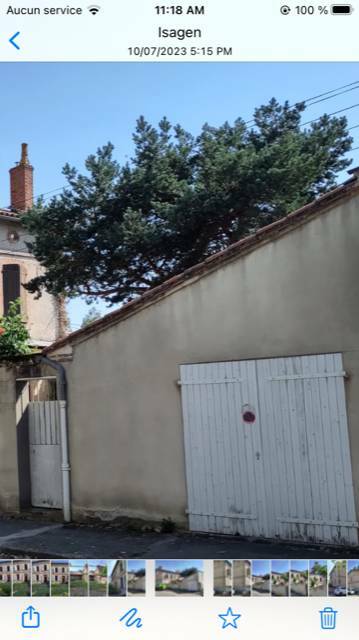 Castelsarrasin (82100)