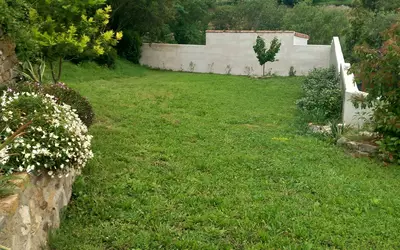 Monze (11800)