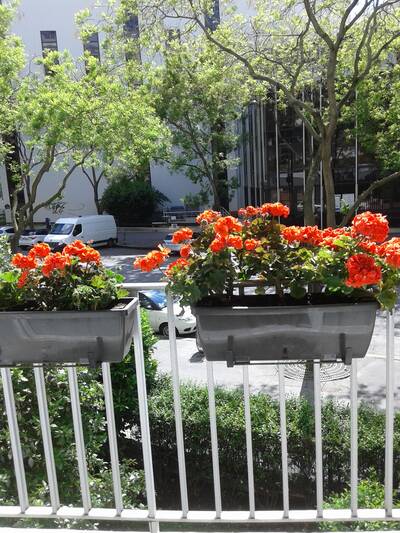 Vente appartement 3 pièces Paris 15e