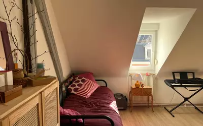 Strasbourg (67000)